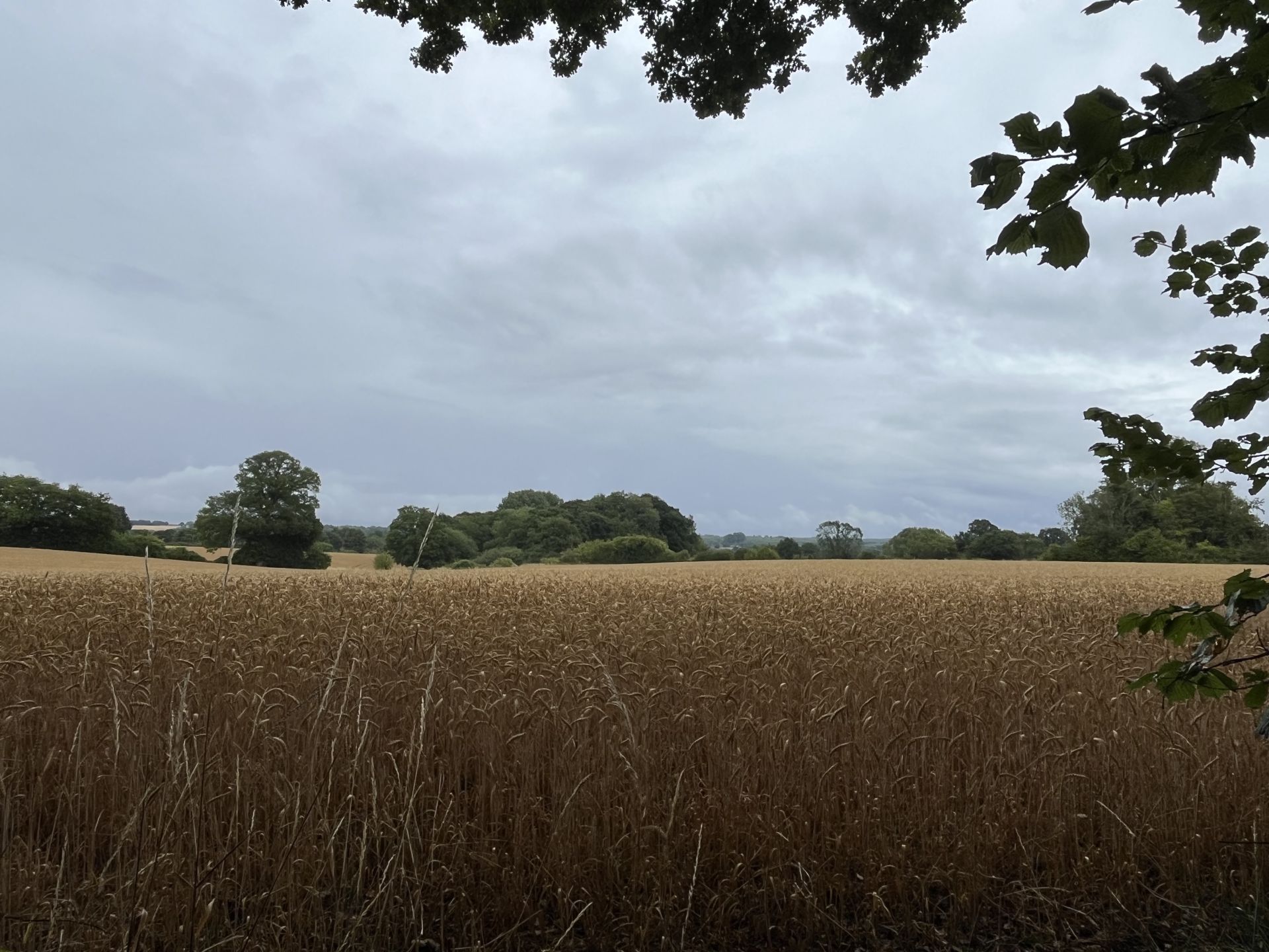 The Colne Valley